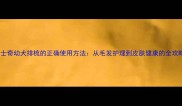 哈士奇幼犬排梳的正确使用方法从毛发护理到皮肤健康的全攻略