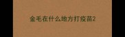 金毛在什么地方打疫苗
