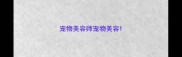 宠物美容师宠物美容