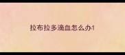 拉布拉多滴血怎么办