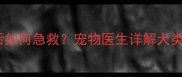 哈士奇误食辣椒油后如何急救宠物医生详解犬类食物中毒处理指南