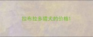 拉布拉多猎犬的价格