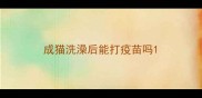 成猫洗澡后能打疫苗吗
