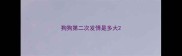 狗狗第二次发情是多大