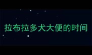 拉布拉多犬大便的时间