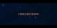 小狗自己能打疫苗吗