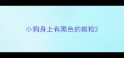 小狗身上有黑色的颗粒