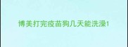 博美打完疫苗狗几天能洗澡