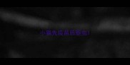 小猫先疫苗后驱虫