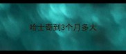 哈士奇到3个月多大