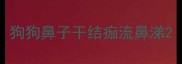 狗狗鼻子干结痂流鼻涕