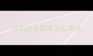 拉布拉多狗窝怎么清洗