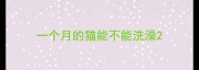 一个月的猫能不能洗澡