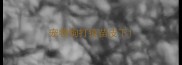 宠物狗打疫苗皮下