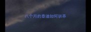 八个月的泰迪如何驯养