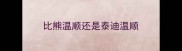 比熊温顺还是泰迪温顺