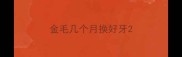 金毛几个月换好牙