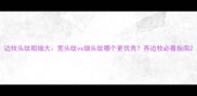 边牧头纹粗细大宽头纹vs细头纹哪个更优秀养边牧必看指南