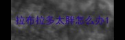 拉布拉多太胖怎么办
