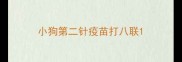 小狗第二针疫苗打八联