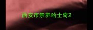 西安市禁养哈士奇