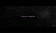 小狗用什么磨牙棒