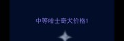 中等哈士奇犬价格