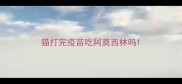 猫打完疫苗吃阿莫西林吗