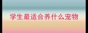 学生最适合养什么宠物