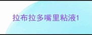 拉布拉多嘴里粘液
