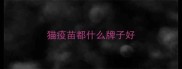 猫疫苗都什么牌子好