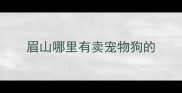 眉山哪里有卖宠物狗的