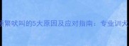 哈士奇频繁吠叫的5大原因及应对指南专业训犬师深度