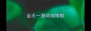 金毛一激动就咳嗽