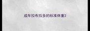 成年拉布拉多的标准体重
