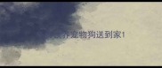 免费领养宠物狗送到家
