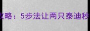 双犬训练全攻略5步法让两只泰迪秒变乖巧伙伴