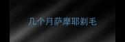 几个月萨摩耶剃毛