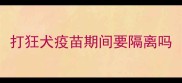 打狂犬疫苗期间要隔离吗