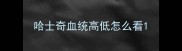 哈士奇血统高低怎么看