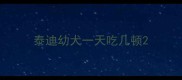 泰迪幼犬一天吃几顿