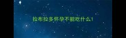 拉布拉多怀孕不能吃什么