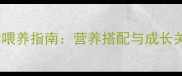 边牧幼犬科学喂养指南营养搭配与成长关键期管理全