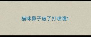 猫咪鼻子破了打喷嚏