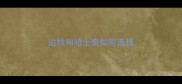 边牧和哈士奇如何选择
