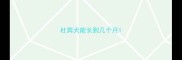 杜宾犬能长到几个月