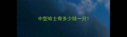 中型哈士奇多少钱一只