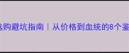 泰迪犬选购避坑指南从价格到血统的8个鉴别技巧