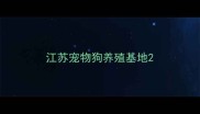 江苏宠物狗养殖基地