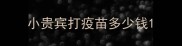 小贵宾打疫苗多少钱
